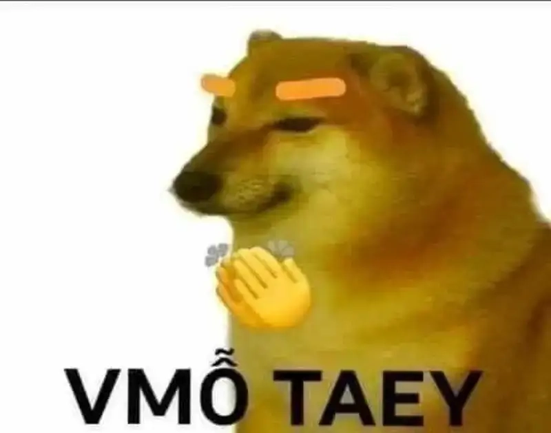 Meme gấu trúc vỗ tay khiến ai cũng thích thú