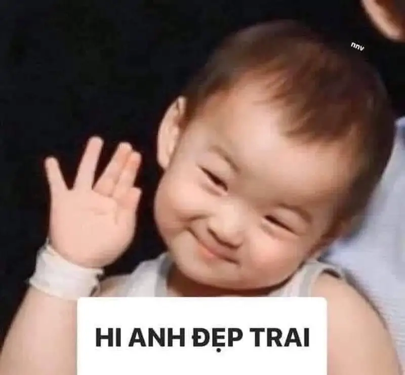 Thêm tiếng cười với ảnh meme vô tri có chữ