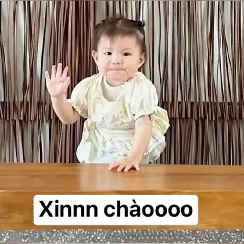 Hình meme xin chào cute gây bão mạng xã hội