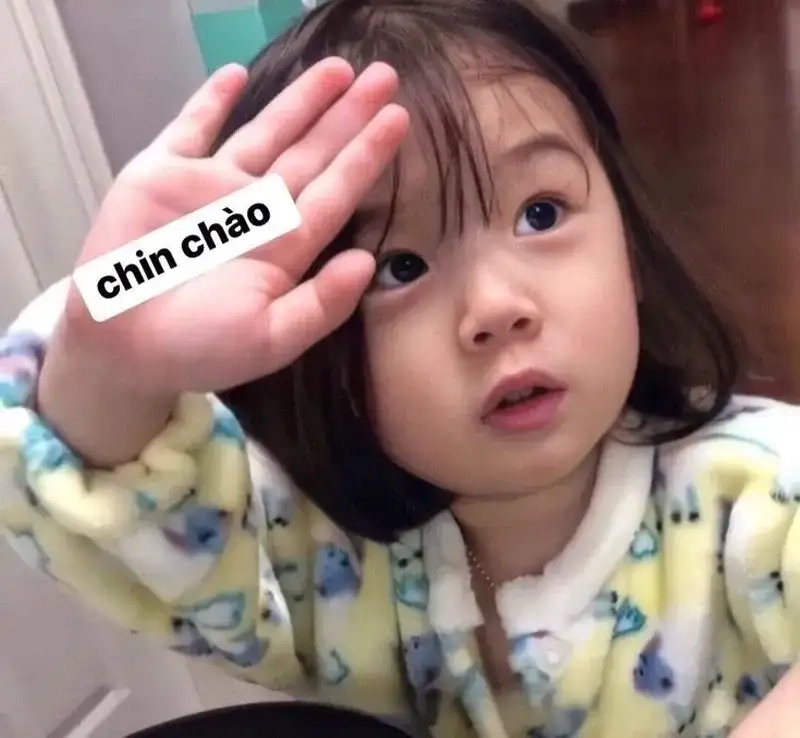 Meme xin chào là như thế nào