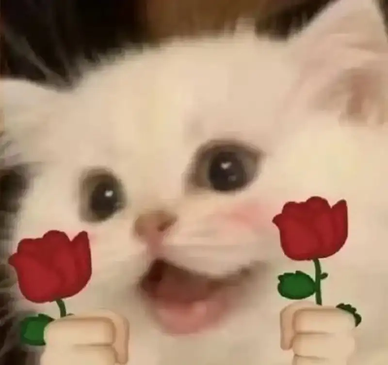 Thả tim với meme yêu đời tích cực đáng yêu mỗi ngày