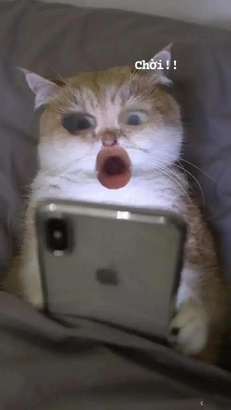 Cười xỉu với loạt meme ngạc nhiên hot trend mạng xã hội