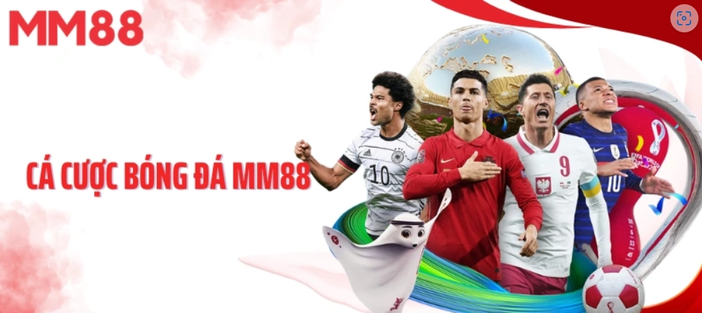 Bản đồ dữ liệu trước trận để biến linh cảm thành luận điểm