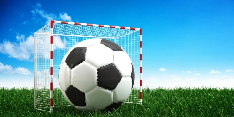 Người dùng có thể tùy chỉnh theo dõi đội bóng hoặc giải đấu yêu thích