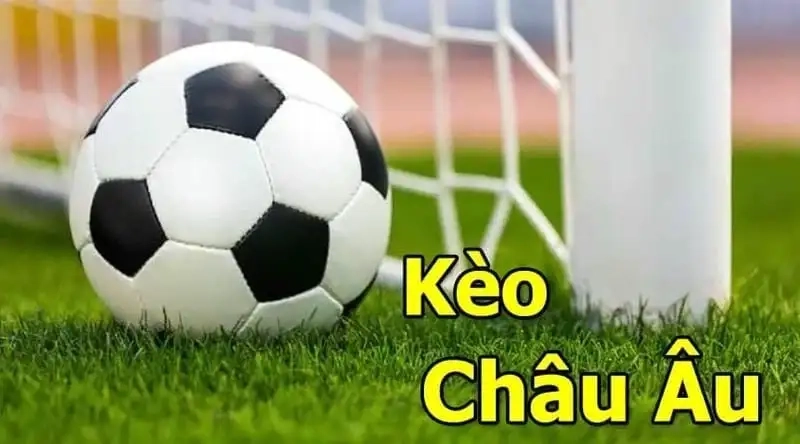 Cách đọc kèo Châu Âu May88 cho người mới bắt đầu