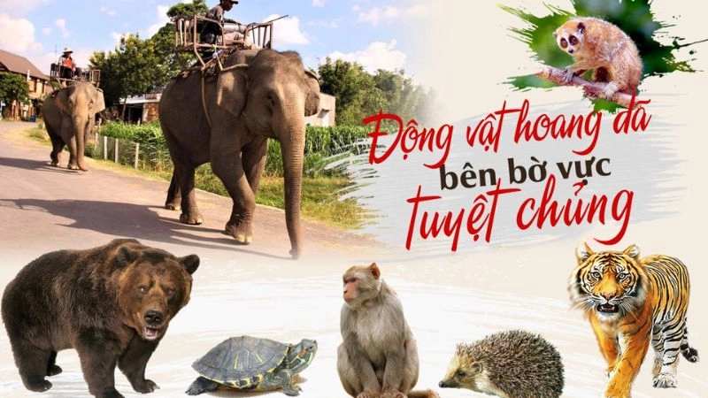 Mức phạt hành chính “khủng” hiện hành (Cập nhật 2025)