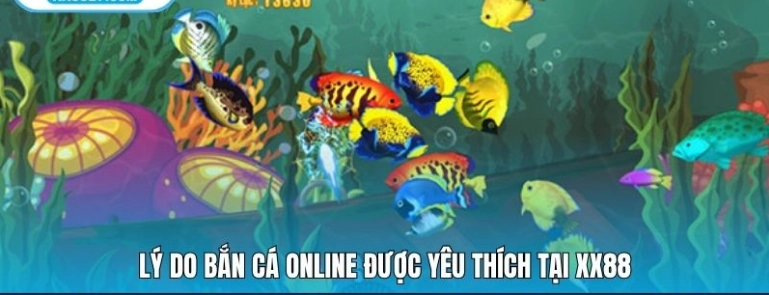 Nội dung &amp; vòng lặp: vui ngay, sâu dần, thưởng minh bạch