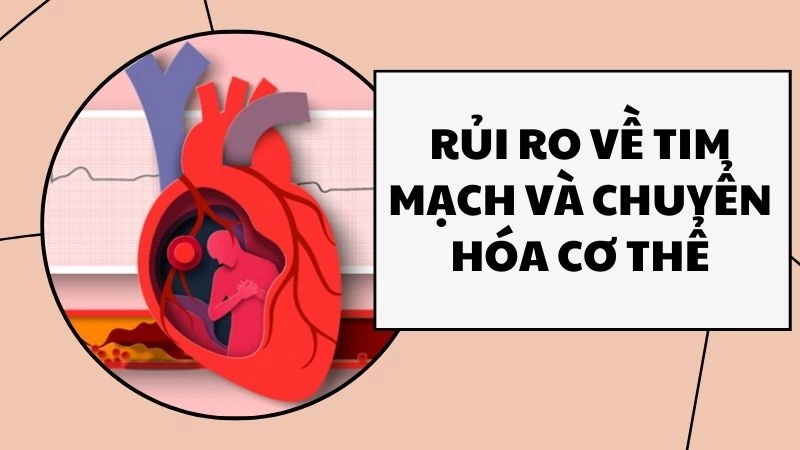 Rủi ro về tim mạch và chuyển hóa cơ thể