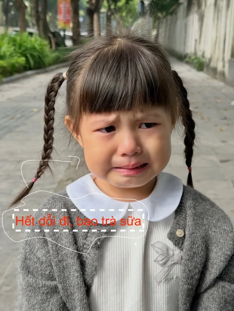 Meme mèo khóc xin lỗi thật tội nghiệp