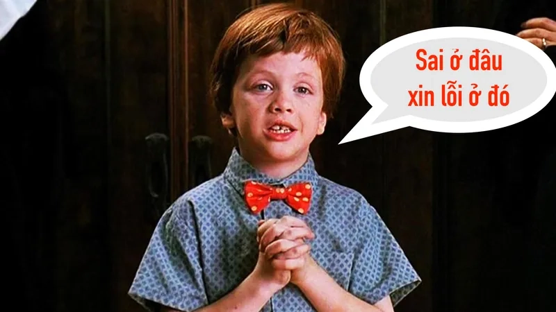 Hình ảnh meme mèo chắp tay hối lỗi