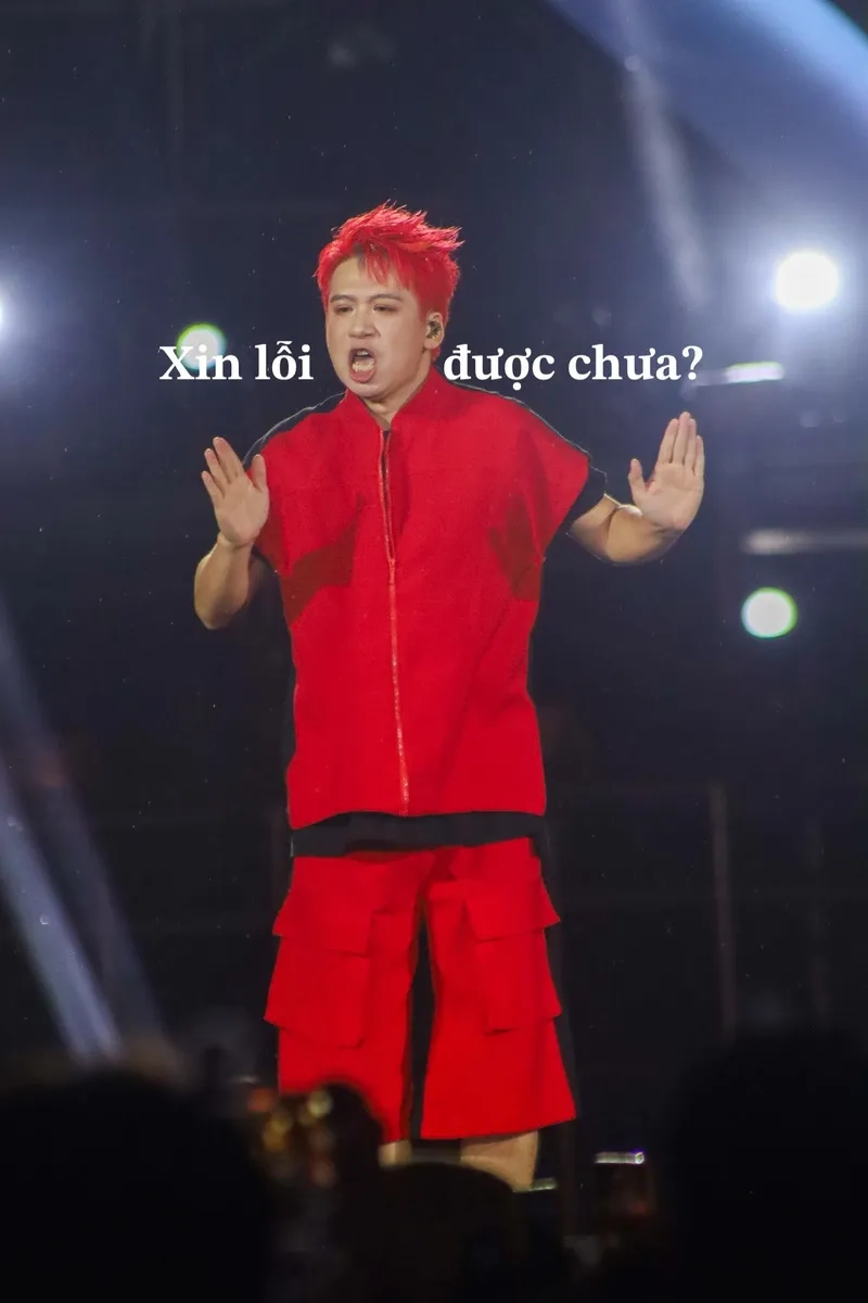 Meme chó xin lỗi đáng thương quá đi