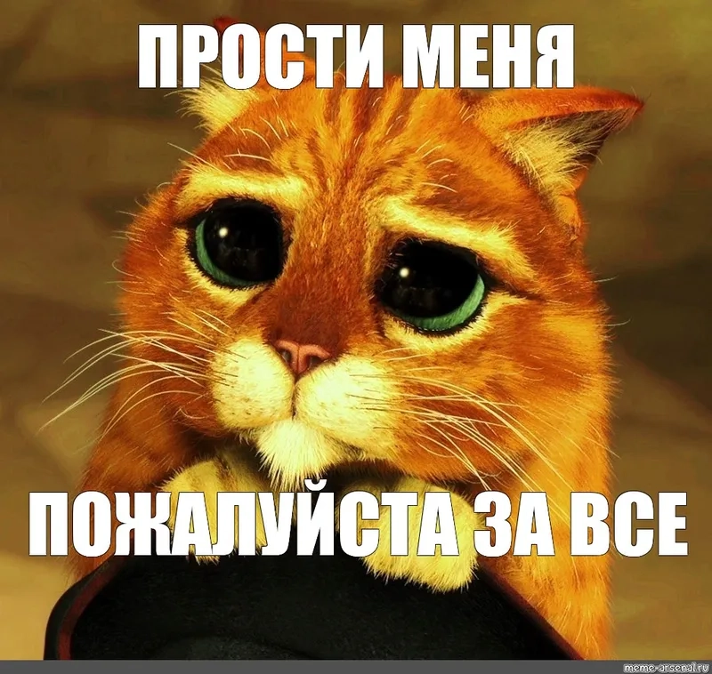 Những meme xin lỗi hài hước bá đạo