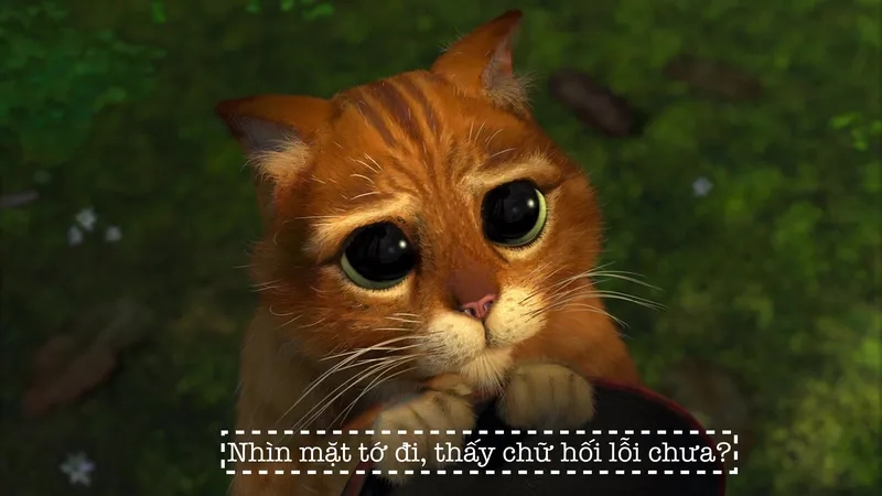 Meme biết lỗi rồi mà tha cho em đi