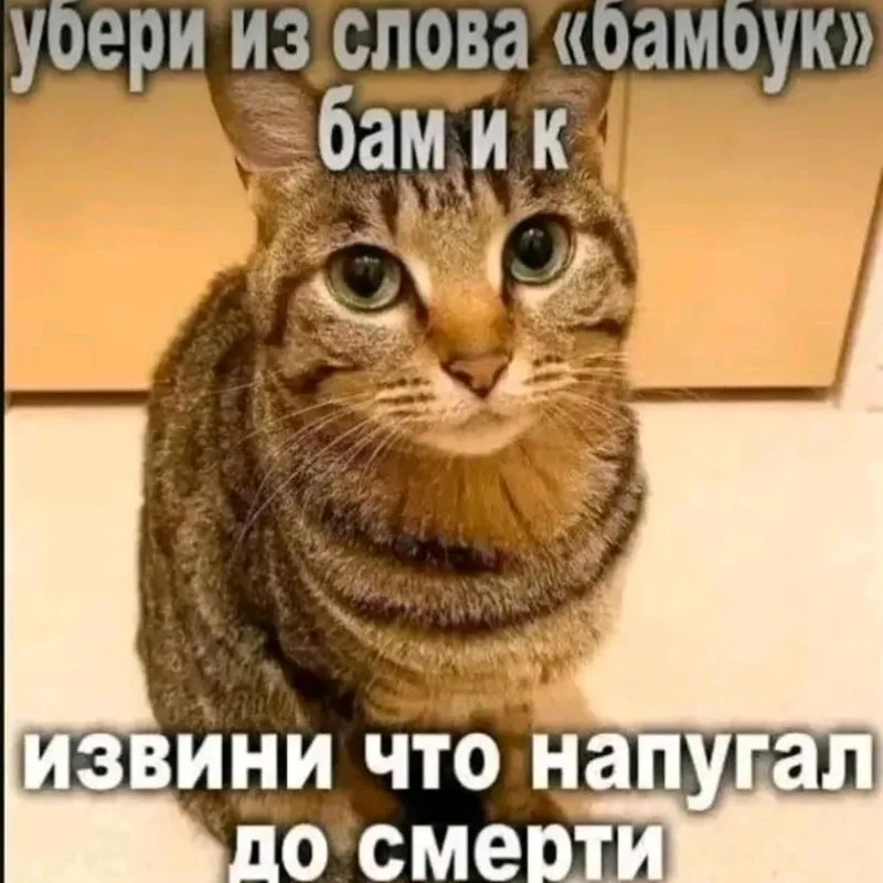 Các sticker xin lỗi hài hước nhất