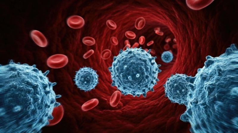 Hệ lụy ung thư từ những bữa ăn không an toàn