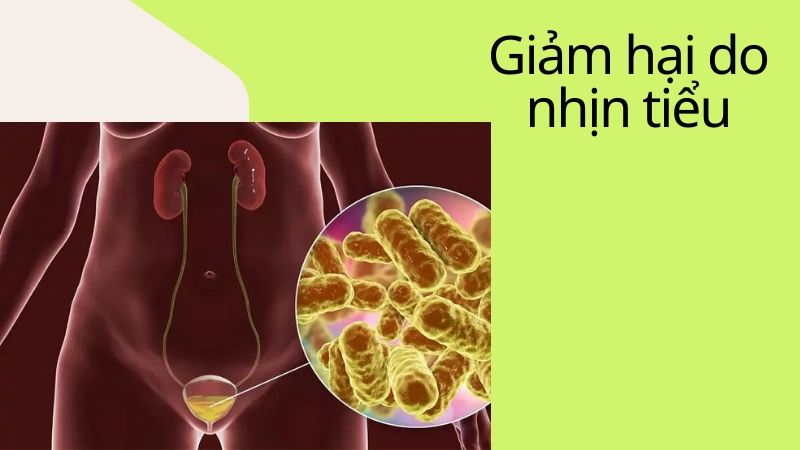 Cách bảo vệ bàng quang khỏi tác hại của việc nhịn tiểu