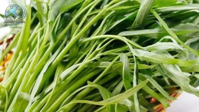 Ăn rau muống quá nhiều có tác hại gì đến sức khỏe?