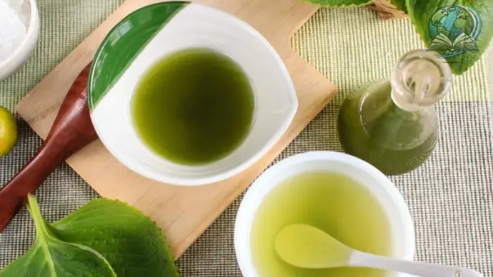 Cách làm đẹp từ lá húng chanh đơn giản và hiệu quả tại nhà
