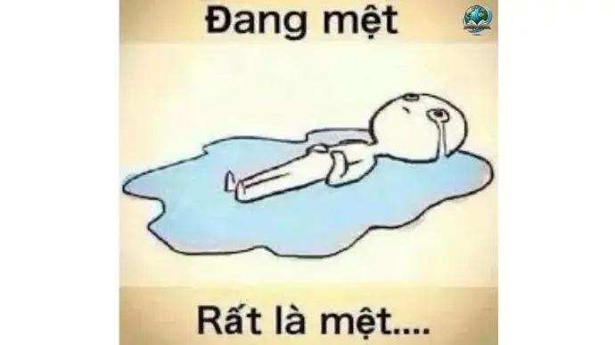 Những ảnh meme mệt mỏi hài hước để thể hiện cảm xúc