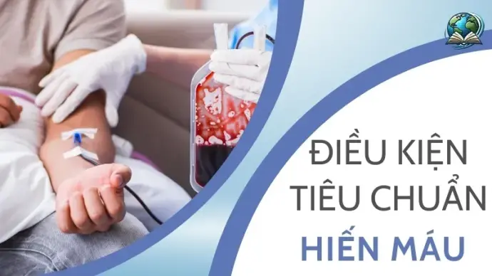 Quy định hiến máu tại Việt Nam - Ai đủ điều kiện để hiến máu?