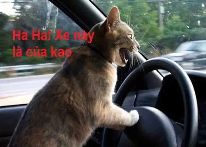 Khám phá meme mặt cười gây bão cộng đồng mạng 2025