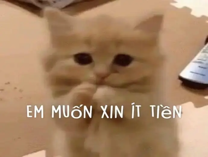 Những meme xin tiền vui nhộn đang gây sốt cộng đồng mạng