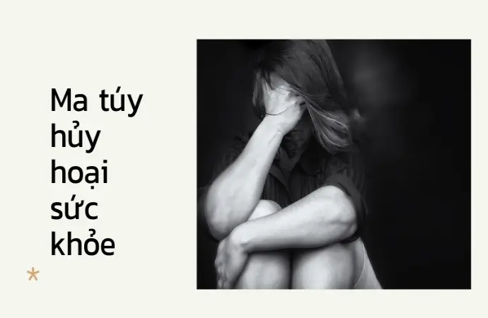 Ma túy tàn phá sức khỏe và những hệ lụy kinh hoàng nhất