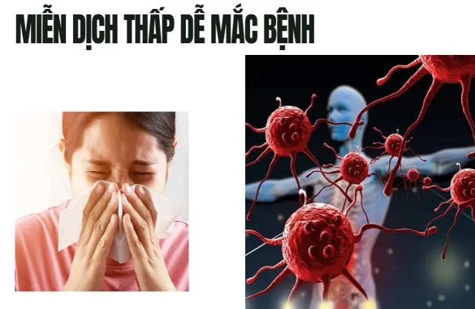 Tác hại nghiêm trọng của thiếu kẽm bạn không nên bỏ qua