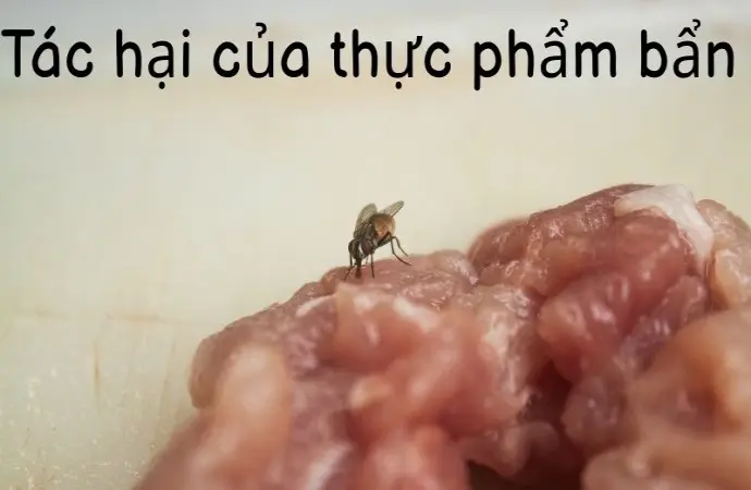 Tác hại của thực phẩm bẩn đối với sức khỏe con người