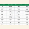 Khám phá 30 động từ bất quy tắc thông dụng nhất trong tiếng Anh