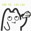 Khám phá bộ sưu tập meme cáo từ độc đáo và hài hước