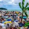 Tác hại của rác thải nhựa đối với môi trường biển