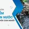 Tác hại khôn lường của ô nhiễm môi trường nước đối với cuộc sống