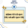 Tổng hợp 100+ Động từ Bất quy tắc Thường gặp Nhất và Cách sử dụng