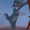 Tổng hợp ảnh Meme Cút đầy biểu cảm cho mọi tình huống