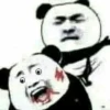 Tổng hợp ảnh meme gấu hài hước, độc đáo nhất 2026
