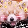 Tuyển tập meme yêu thương: Biểu cảm tình yêu dễ thương nhất 2026