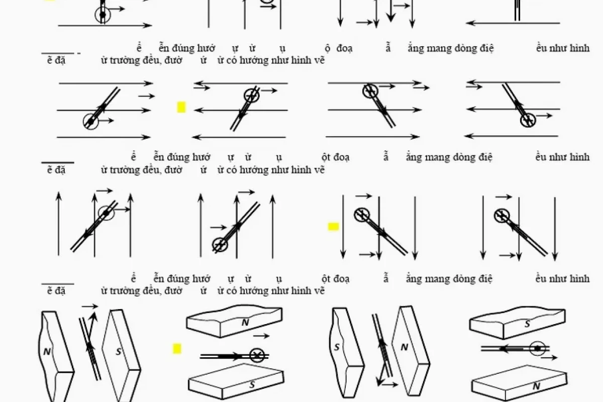 Giải Bài Tập Quy Tắc Bàn Tay Trái: Hướng Dẫn Chi Tiết Cho Học Sinh