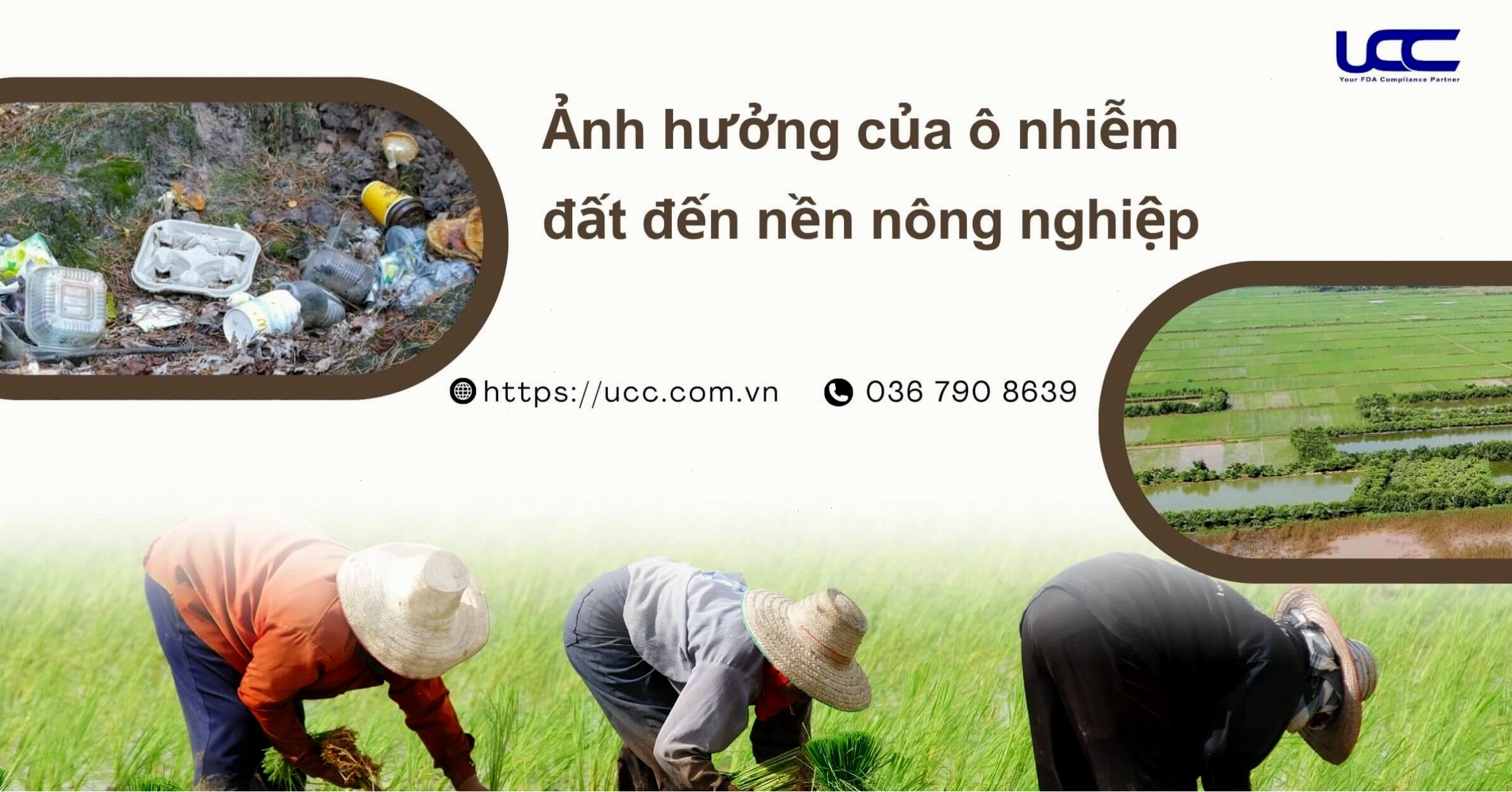 Ảnh hưởng của ô nhiễm đất đến nền nông nghiệp