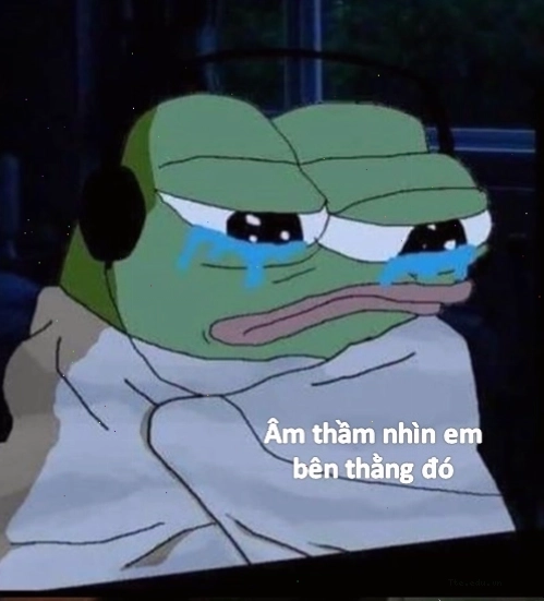 Ảnh khóc bất lực meme
