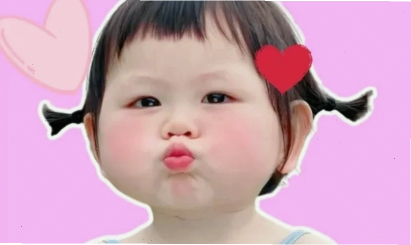 Ảnh meme mèo cute dễ thương