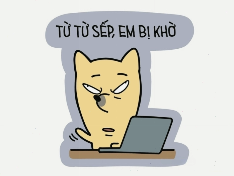 Avatar meme mèo bựa với câu nói hài hước