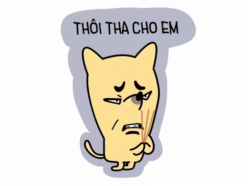 Avatar meme mèo với câu nói hài hước