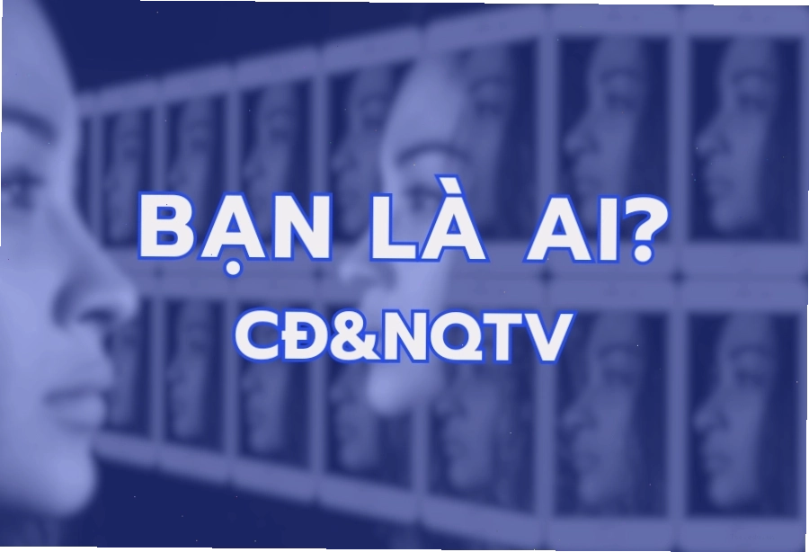 Biểu đồ minh họa các giá trị cốt lõi trong cuộc sống con người