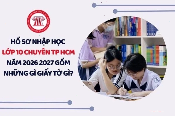 Biểu đồ thể hiện sự gia tăng các tệ nạn xã hội liên quan đến bạo lực gia đình
