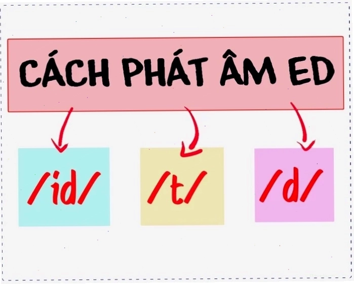 Các câu thành ngữ với quy tắc đọc ed