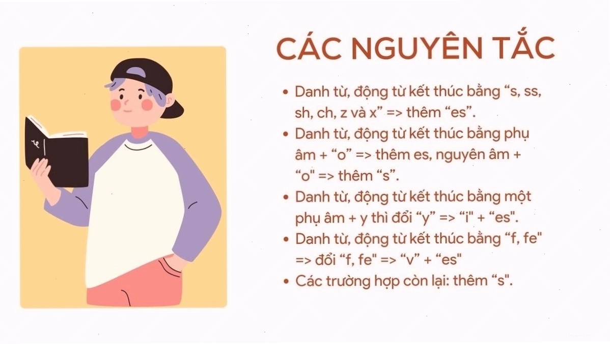 Các nguyên tắc khi thêm s và es vào danh từ và các trường hợp ngoại lệ