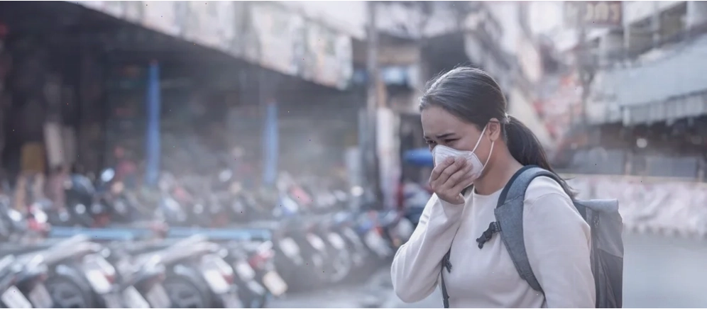 Cảnh cháy rừng gây ô nhiễm không khí nghiêm trọng