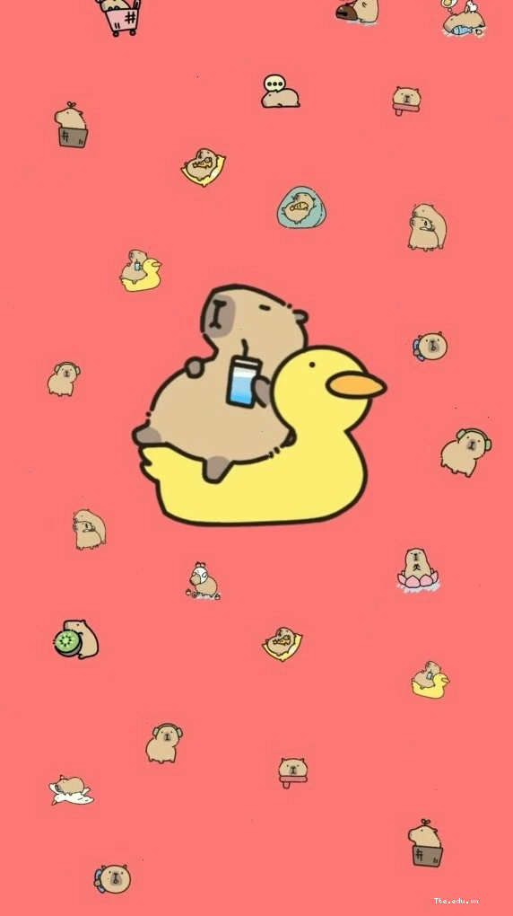Capybara thư giãn trên phao vịt với phong thái tự tại