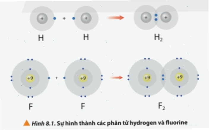 Cấu hình electron của các nguyên tử và quy tắc octet